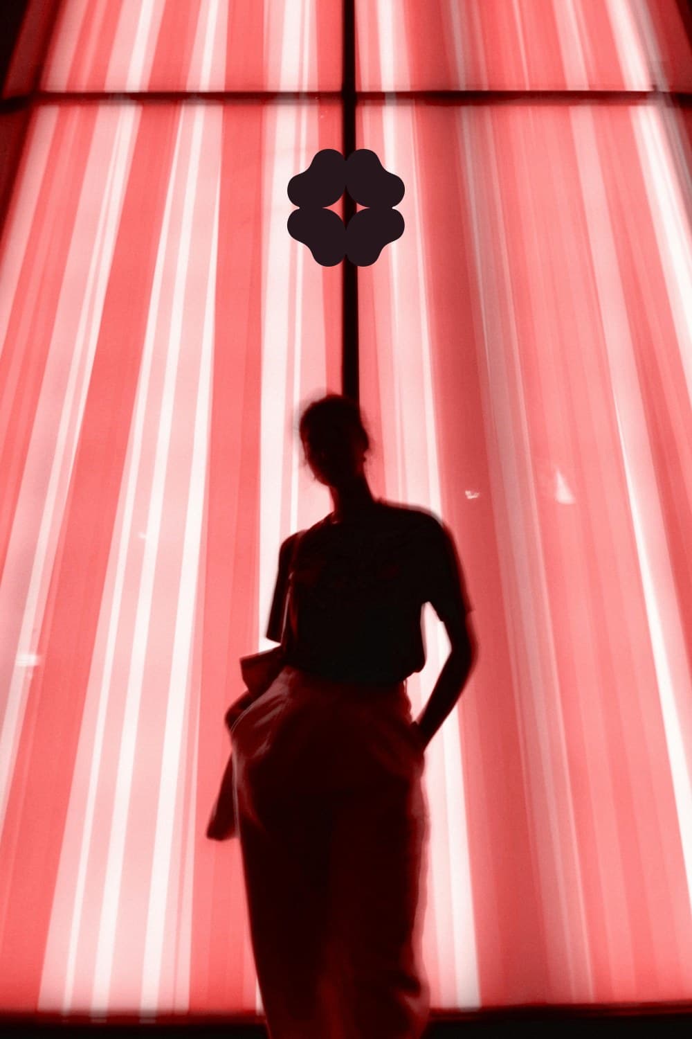A silhouette against a window of red light, the Shishis flower in Noir Berry on the window bar
